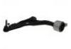 Bras de liaison Control Arm:RK621604