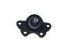 Joint de suspension Ball Joint:K6344