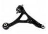 Control Arm:313040461