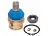 Joint de suspension Ball Joint:AMGK8195T